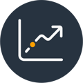Financial Analysis